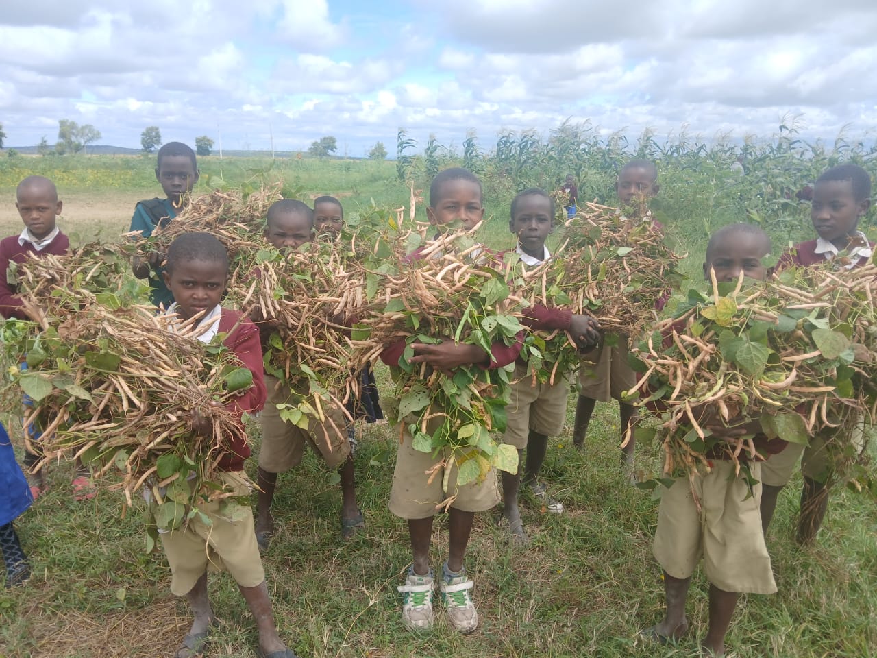 The School feeding programme for 650 students at Mti mmoja primary school