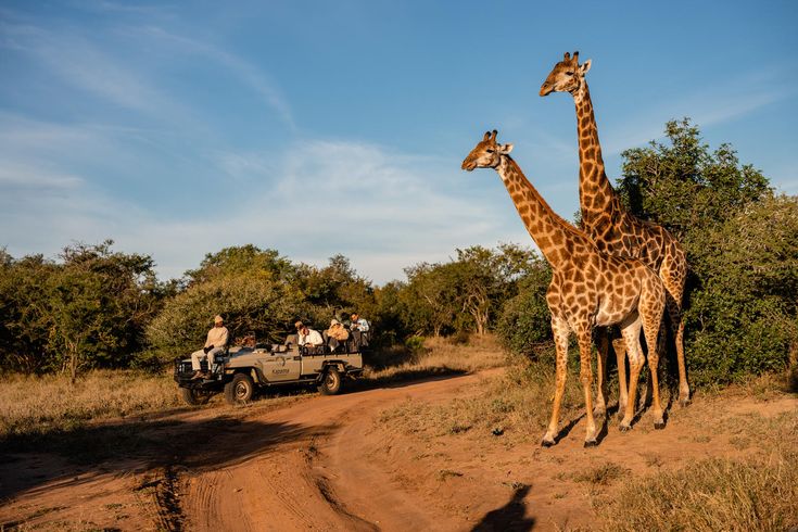 Tourism partnership
